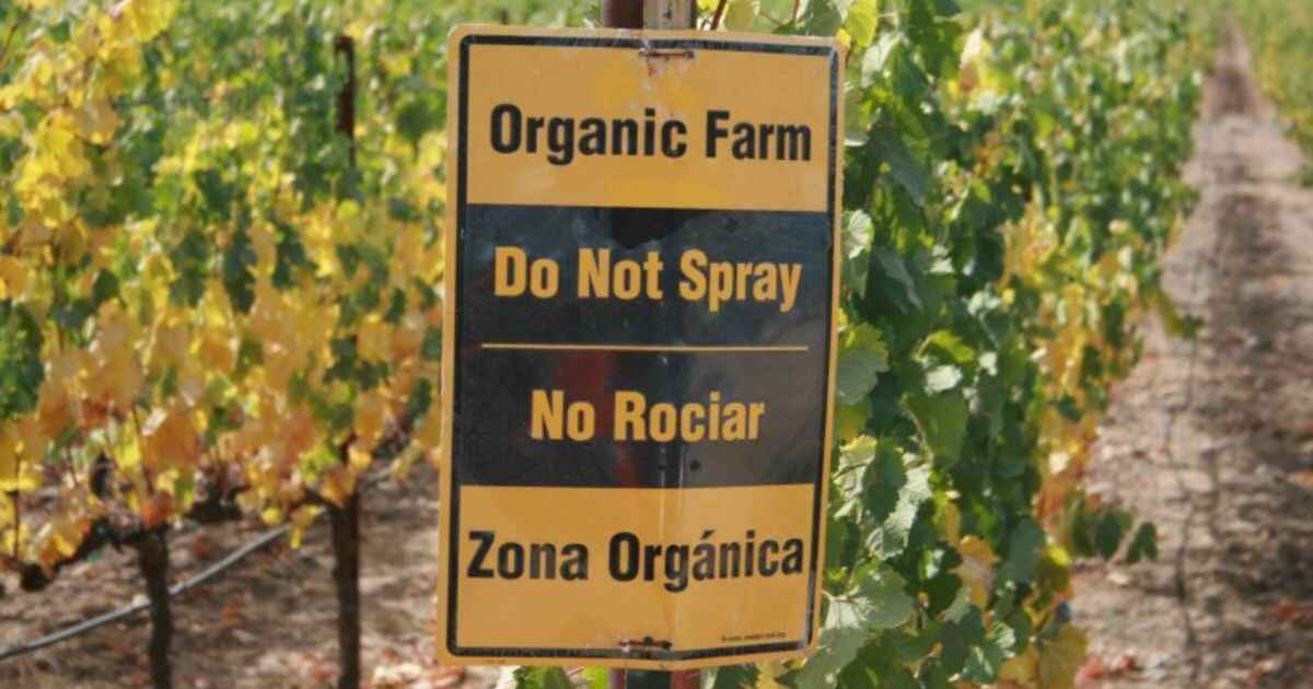 Do Organic and "Good News" Products Contain Pesticides?